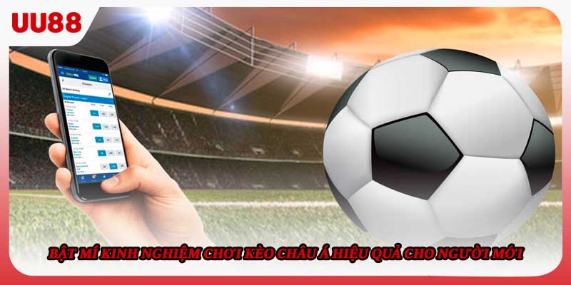 Bật mí kinh nghiệm chơi kèo châu Á hiệu quả cho người mới