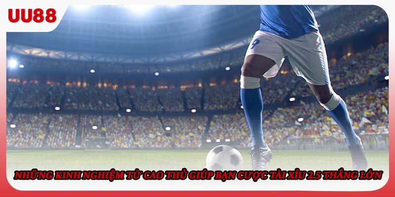 Những kinh nghiệm từ cao thủ giúp bạn cược Tài Xỉu 2.5 thắng lớn